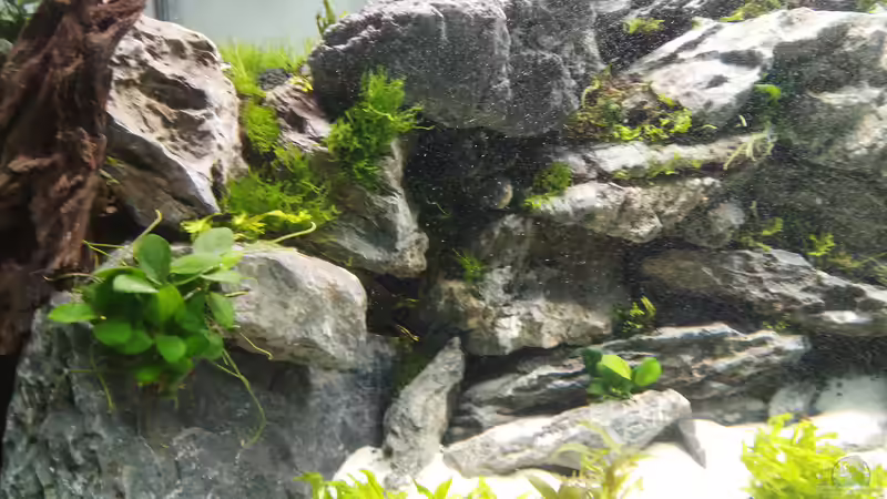 Linke Ecke von Sese (5)