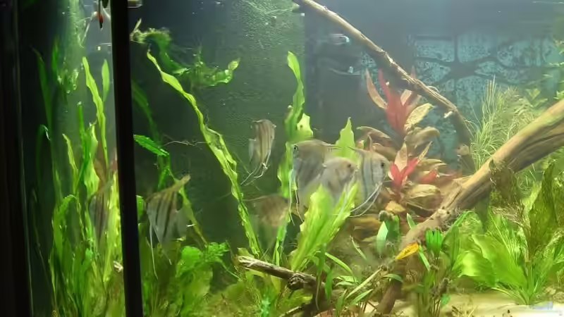 Linke Ecke von Sven Pohlner (2)