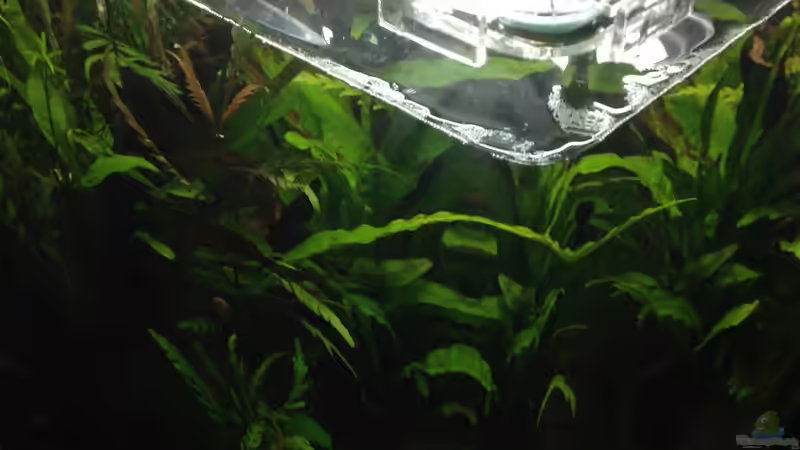 Linke Ecke von Tipfen (5)