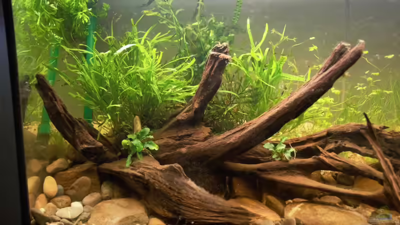 linke Hälfte von Dominik (4)