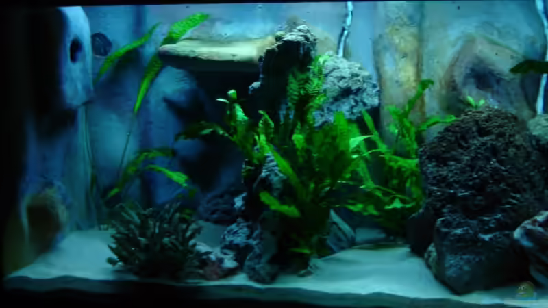 Linke Hälfte von ertzuio (2)