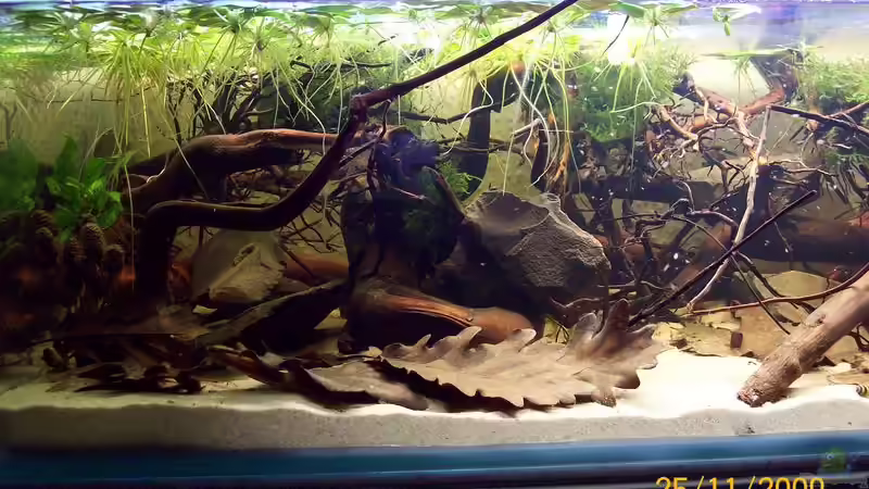 Linke Hälfte von Heiko Bischof (3)