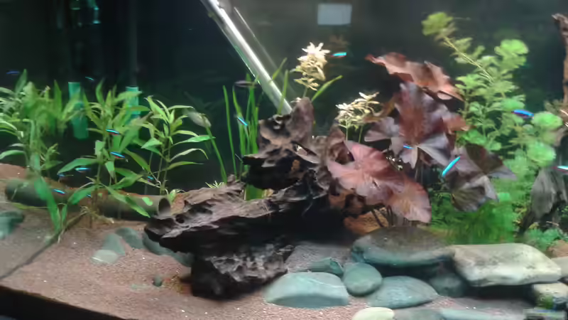 Linke Hälfte von Kai Heermann (17)