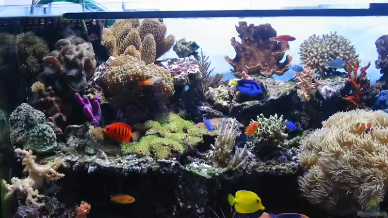 linke Hälfte von Lars Leonhardt (6)