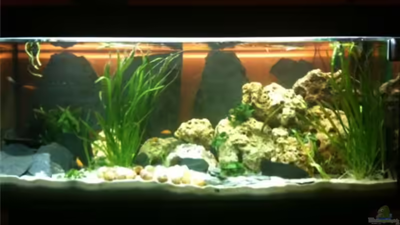 Linke Hälfte von René Cremer (3)