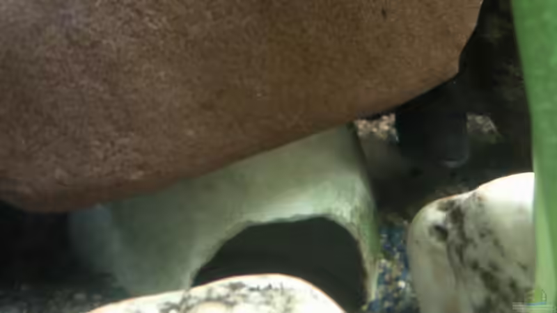 linke Höhle unter Steinaufbau von mikael38 (8)