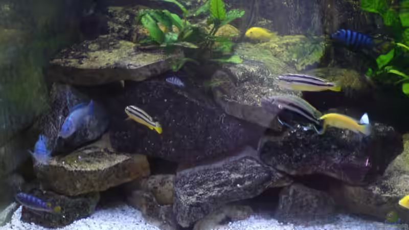 Linke Höhlen von Dommi (6)