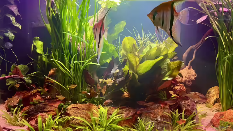 Linke Insel von Gernhart (4)