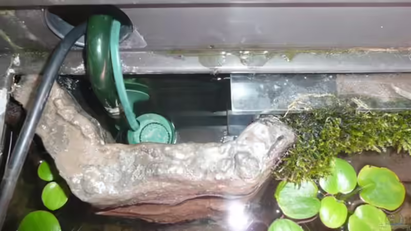 Linke Kammer mit Ansaugseite und Heizung von Andreas Fuchs (12)