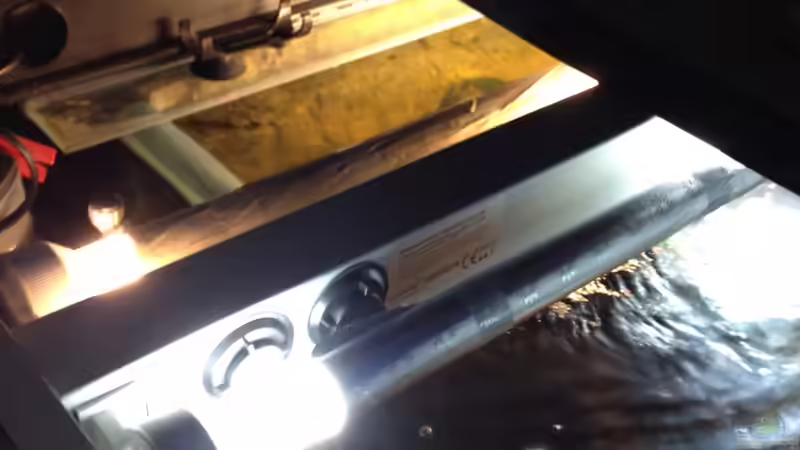 Linke Klappe mit Blick in den Filterkasten von Rubens (15)