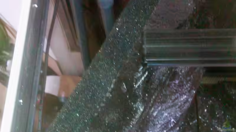 linke Klarwasserkammer von oben von Thorsten G. (24)