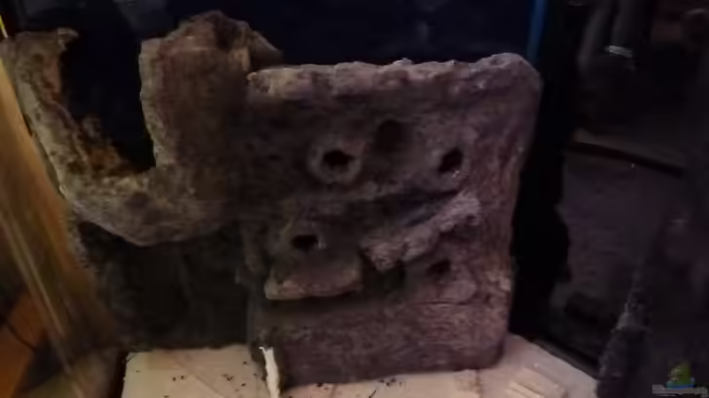 Linke Rückwand mit Aussparung für die Tunze von Couro (21)