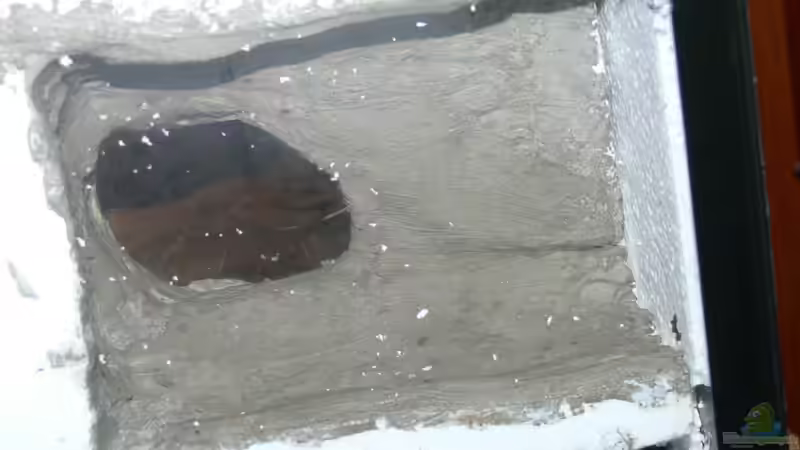 linke Rückwand mit Höhle von hinten 30.12.2012 von DominikZ (15)