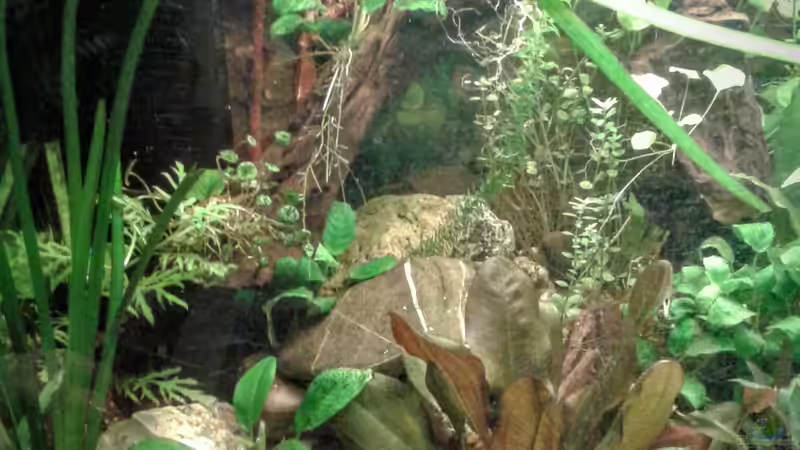 linke Seite  23.02.2016 von Ele Meer (5)