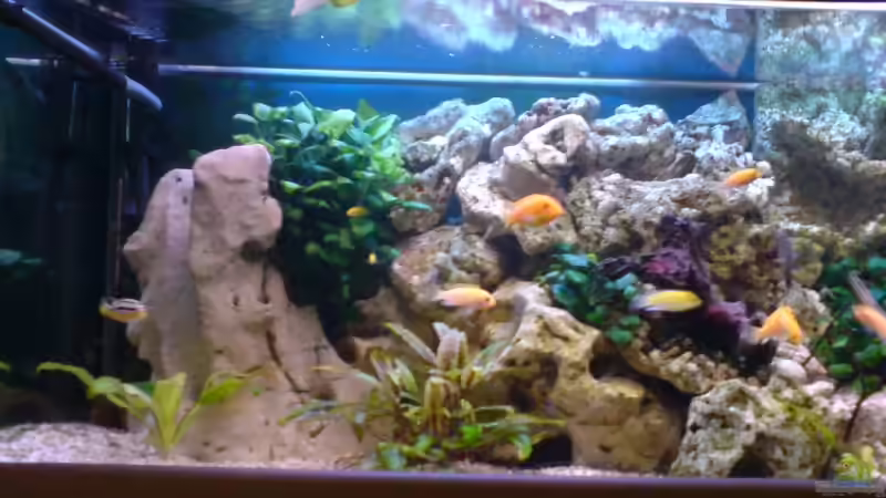 linke Seite. altes Bild von Niko P. (11)