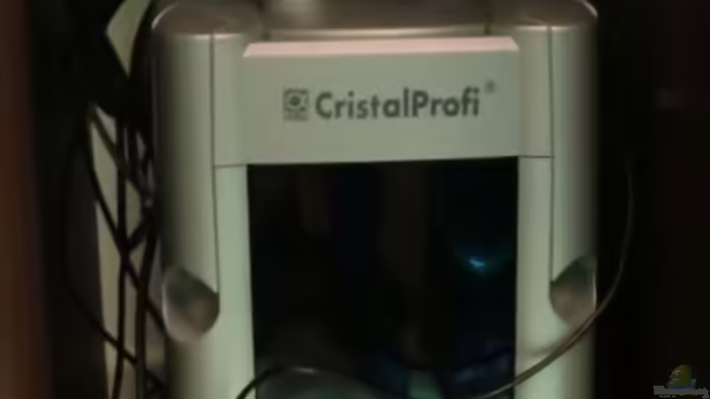 Linke Seite: Aussenfilter JBL cristal profi e1500 von Sirko Fricke (39)