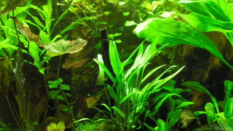 linke seite, man sieht auch den CO2 Reaktor von Becke (6)