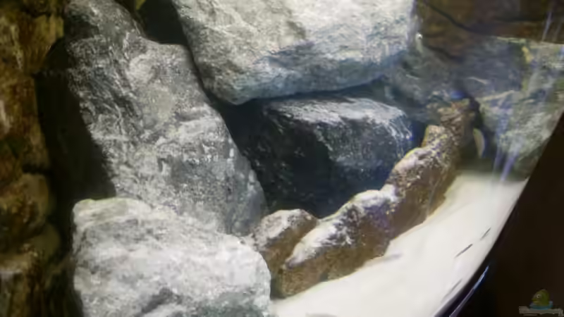 Linke Seite  von Dr. Manhattan (2)