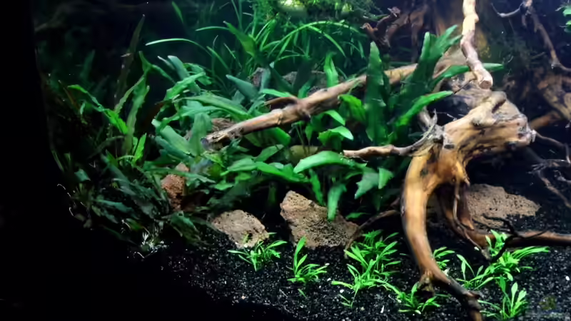 Linke Seite  von snooze (8)