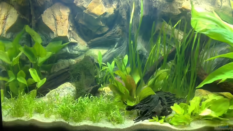 linke Seite 02.12.07 von Thomas Oetjen (5)