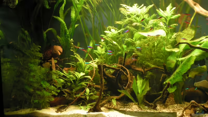 Linke Seite 02/2013 von Peggy (2)