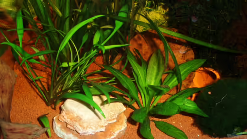 linke Seite 04.01.10 von ~Marco~ (3)