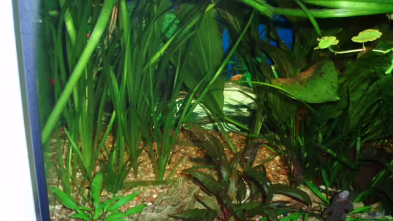 linke Seite 06.03.10 von ~Marco~ (10)