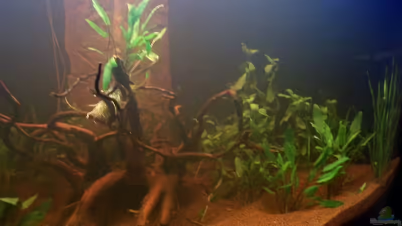 linke Seite 1. Tag nach dem einrichten von Uwe Trauernicht (3)