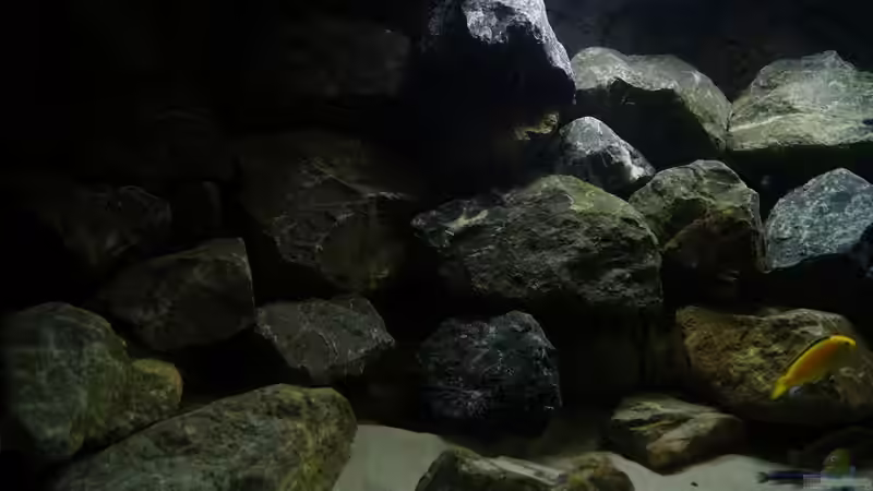 Linke Seite 1 von Poybuna (5)