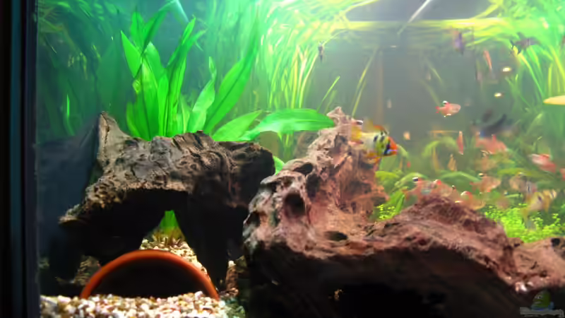 linke Seite (11.1.2013) von NicoleZH (2)