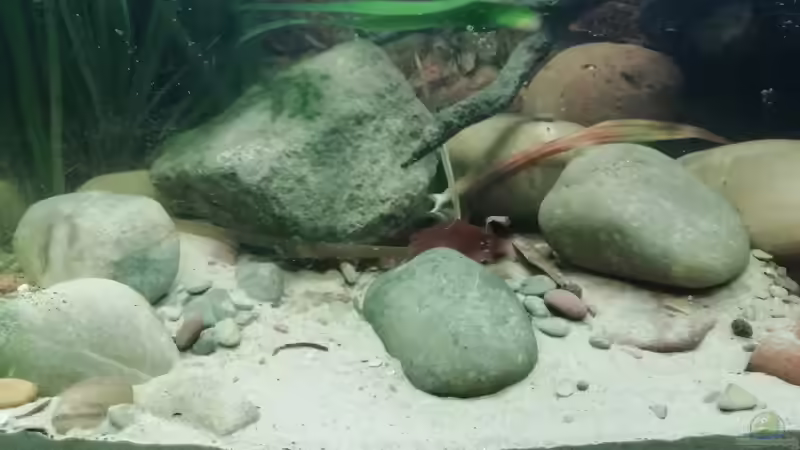 Linke Seite 19.02.2019 von - Stephen - (19)