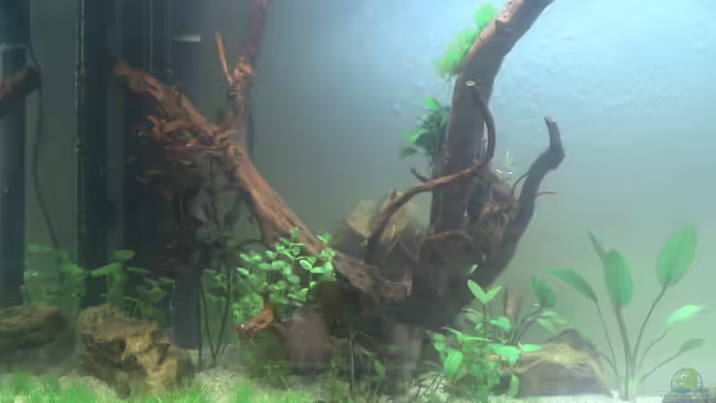 Linke Seite_2 Tag von Jonas (Trancemania) (14)