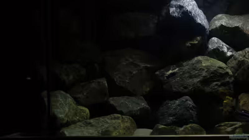 Linke Seite 2 von Poybuna (6)