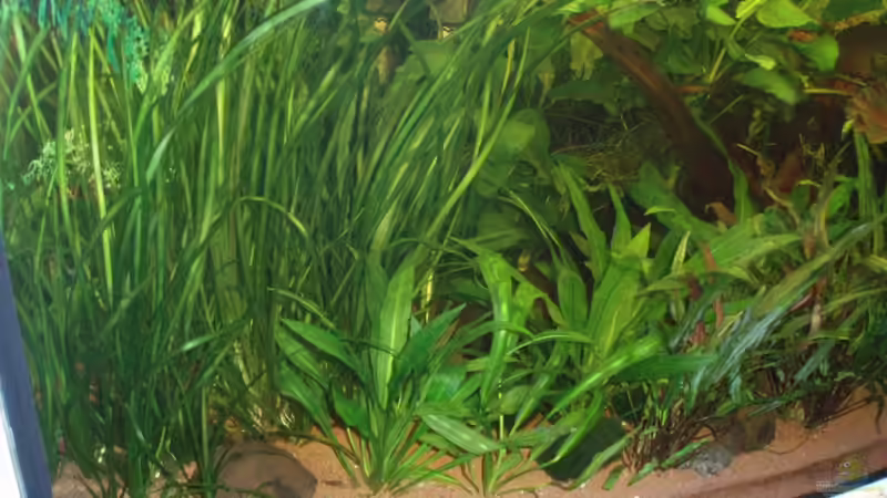 linke Seite 20.12.09 von ~Marco~ (3)