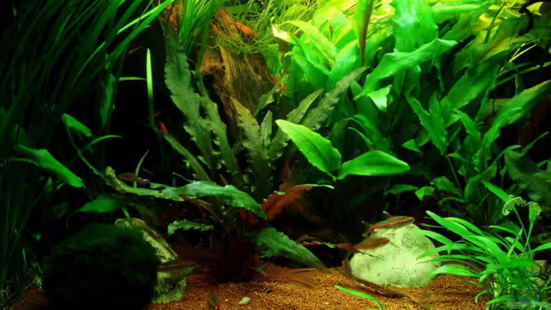 linke Seite 21.12.11 von ~Marco~ (18)