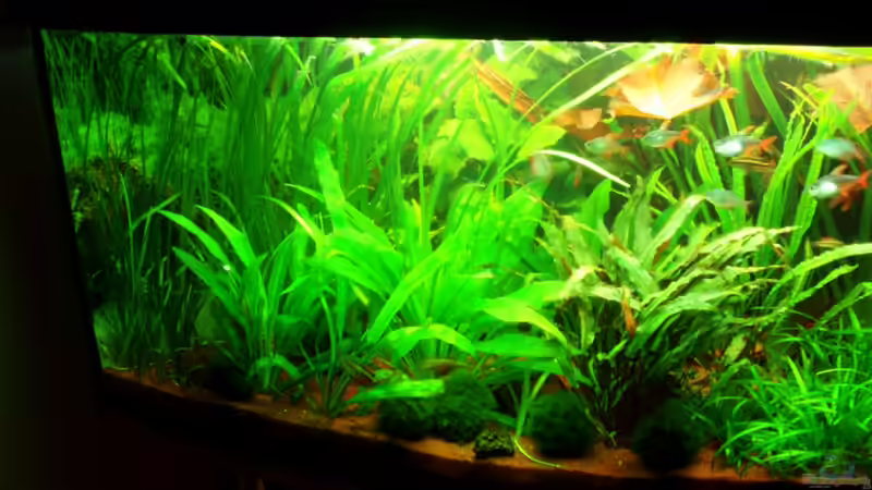 linke Seite 22.01.10 von ~Marco~ (11)