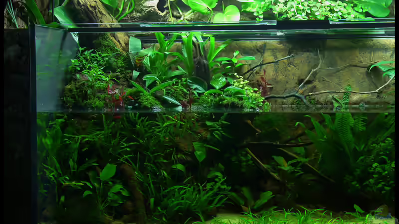 linke Seite 22.11.2014 von DerImperator (19)