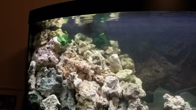 Linke Seite 26.11.2012 von Volker (3)