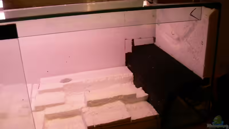 linke seite 28.12.2012 von DominikZ (12)