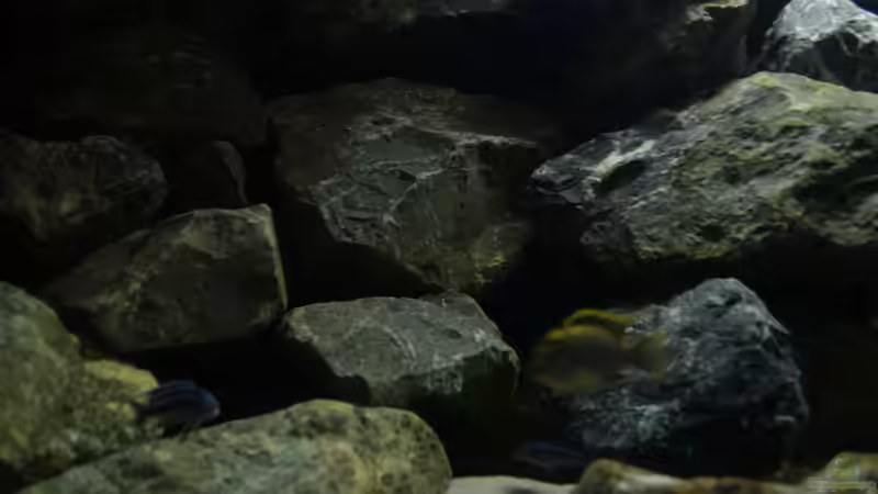 Linke Seite 4 von Poybuna (8)