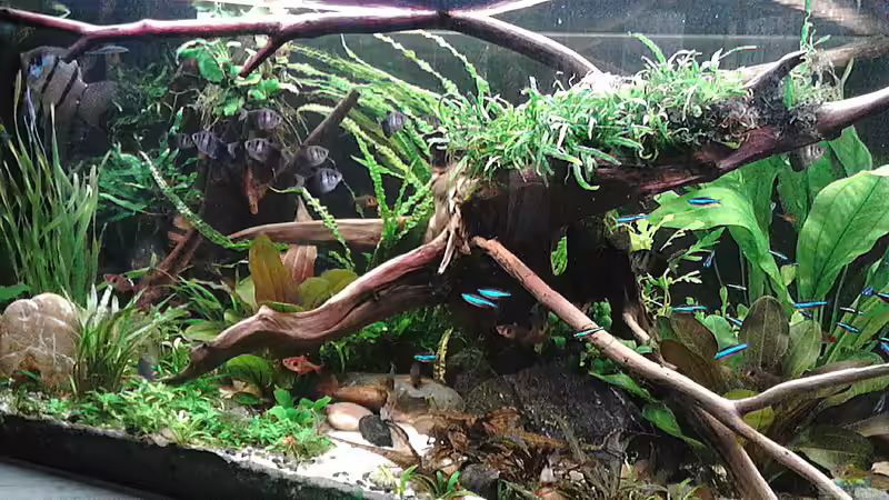 linke Seite 9.12.15 von Grünhexe (85)