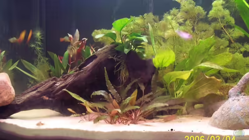 Linke Seite (alt) von Sven Pohlner (2)