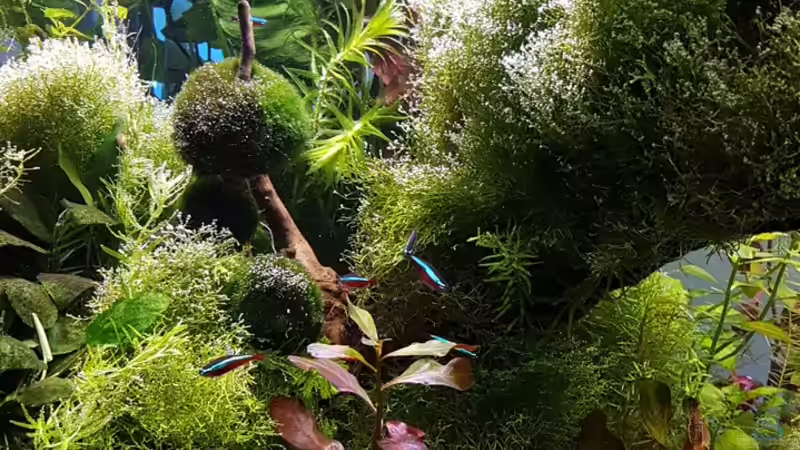 linke Seite am 17.04.2016 von Sebastian Hartmann (43)