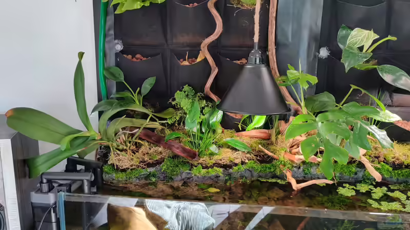 Linke Seite Aufbau von xpate (13)