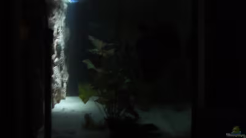 Linke Seite bei Nacht von Eichi82 (5)