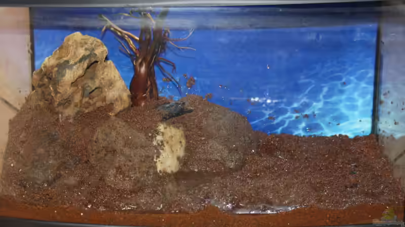 linke Seite dekoriert von SouthAmerica (3)