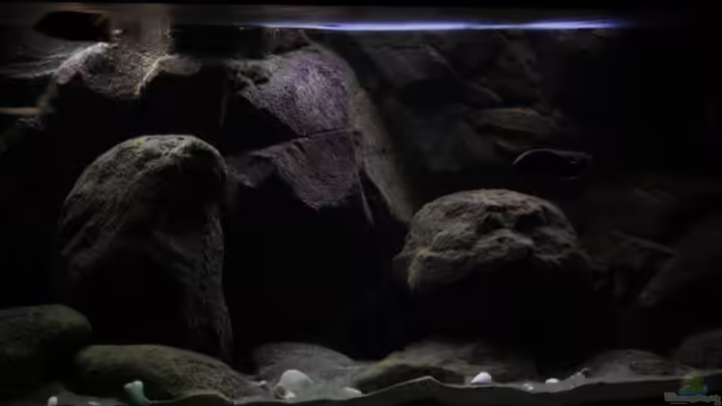 Linke Seite der große Stein schön mit der Algenpatina bewachsen von Florian Bandhauer (12)