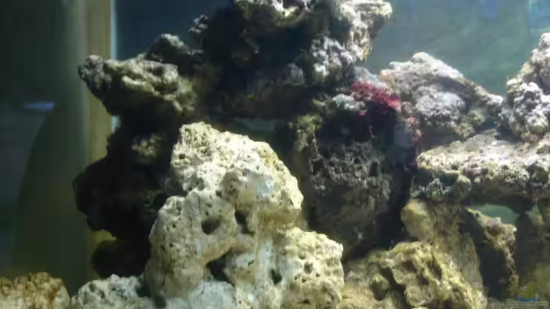 Linke Seite des Aufbaus von Jane Vogeler (18)