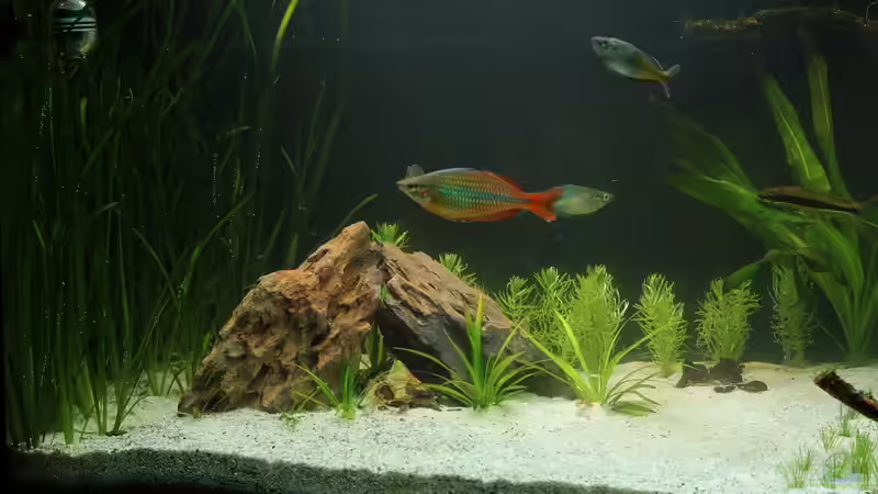 Linke Seite des Becken mit Drachensteinen von David B (28)