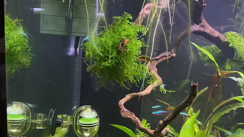 Linke Seite des Beckens  von Ottche (3)